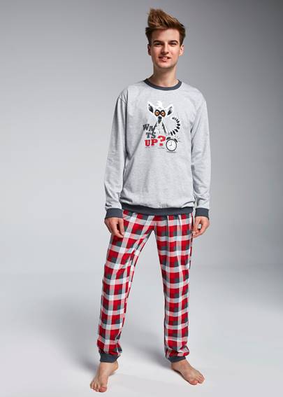 CORNETTE 967/29 "LEMUR" пижама подростковая для мальчиков 